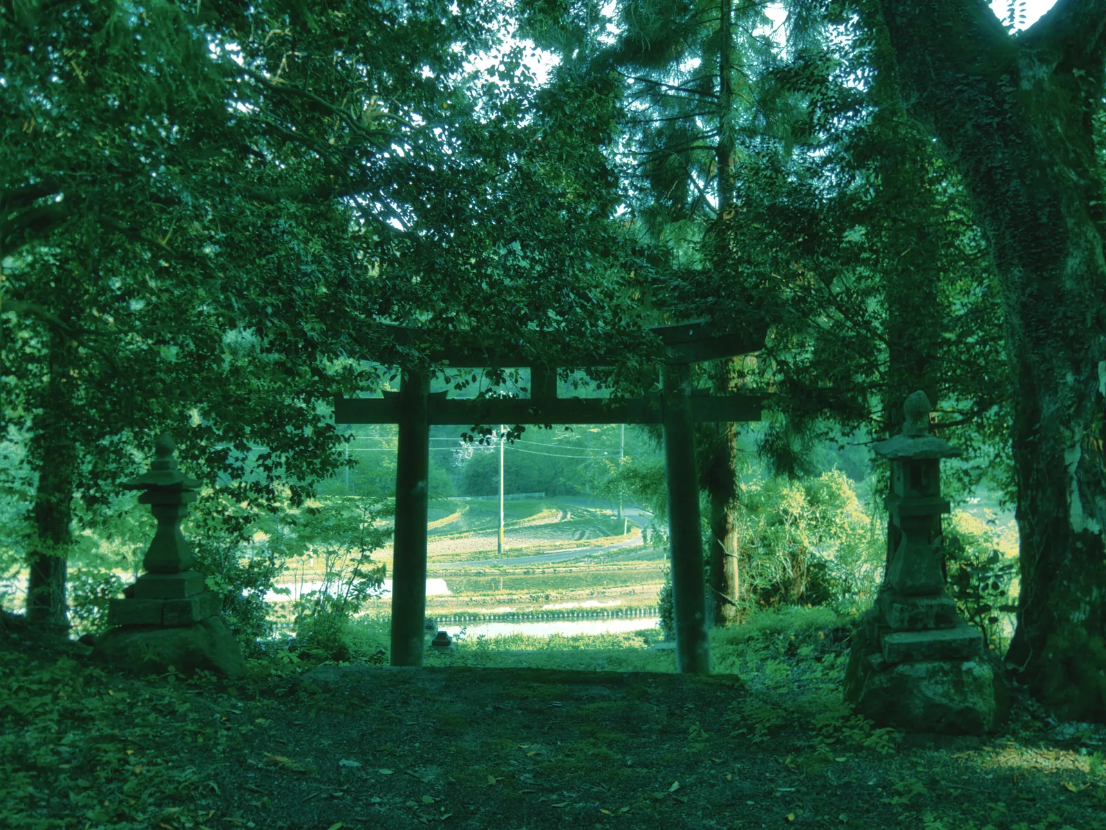 photo 04